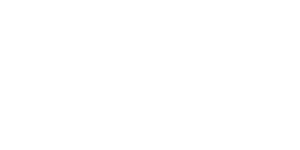 VION Logo