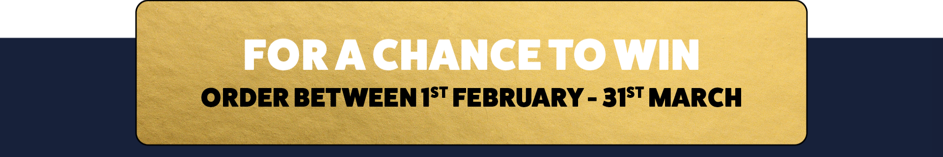 Untitled design (59)